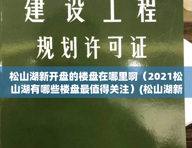 松山湖新开盘的楼盘在哪里啊（2021松山湖有哪些楼盘最值得关注）(松山湖新开楼盘信息)