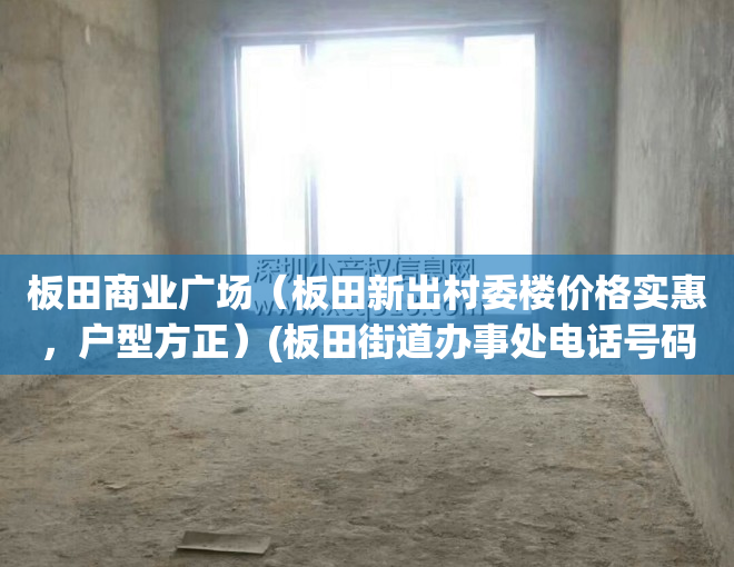 板田商业广场（板田新出村委楼价格实惠，户型方正）(板田街道办事处电话号码)