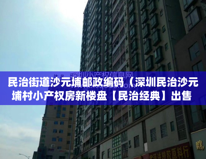 民治街道沙元埔邮政编码（深圳民治沙元埔村小产权房新楼盘【民治经典】出售 电梯精装现房 1梯4户 带管道燃气 668万套起 (图文)）