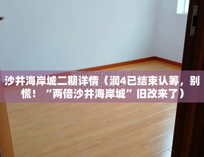 沙井海岸城二期详情（润4已结束认筹，别慌！“两倍沙井海岸城”旧改来了）
