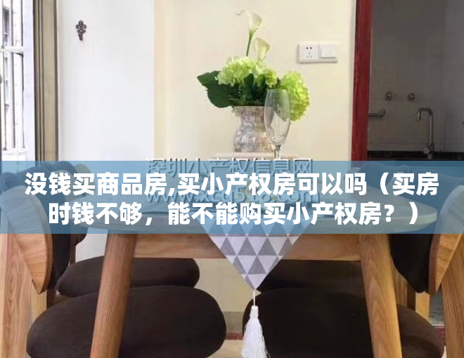 没钱买商品房,买小产权房可以吗（买房时钱不够，能不能购买小产权房？）