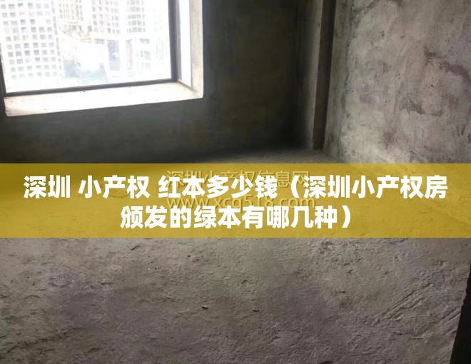 深圳 小产权 红本多少钱（深圳小产权房颁发的绿本有哪几种）