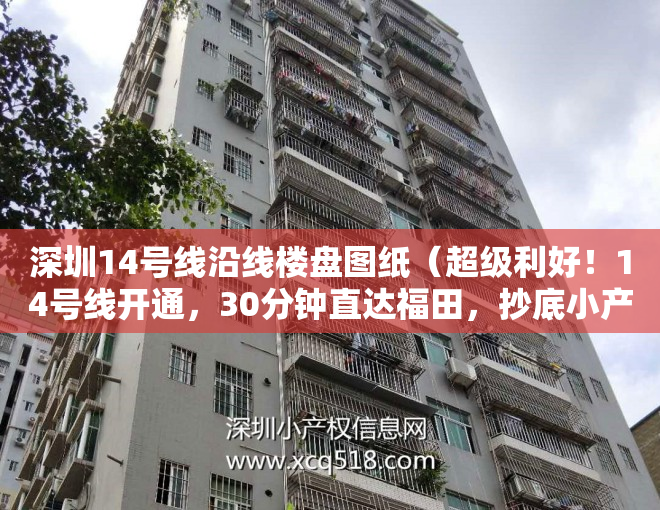 深圳14号线沿线楼盘图纸（超级利好！14号线开通，30分钟直达福田，抄底小产权房的机会来了……）