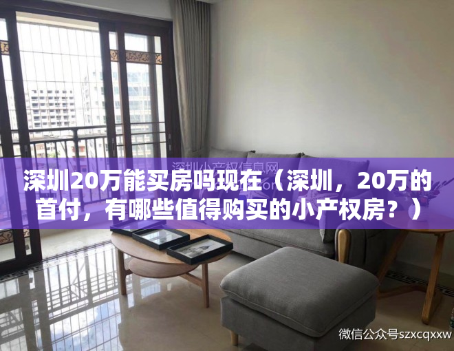 深圳20万能买房吗现在（深圳，20万的首付，有哪些值得购买的小产权房？）