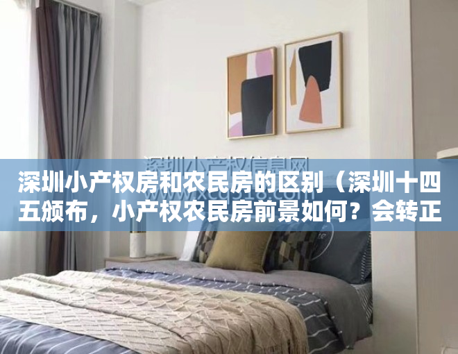 深圳小产权房和农民房的区别（深圳十四五颁布，小产权农民房前景如何？会转正还是会强制征收？）
