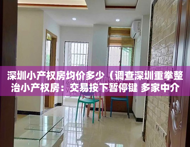 深圳小产权房均价多少（调查深圳重拳整治小产权房：交易按下暂停键 多家中介被“查封”）