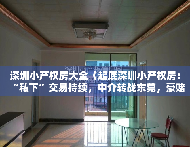 深圳小产权房大全（起底深圳小产权房：“私下”交易持续，中介转战东莞，豪赌拆迁补偿）