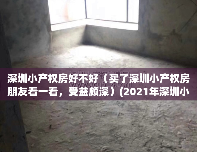 深圳小产权房好不好（买了深圳小产权房朋友看一看，受益颇深）(2021年深圳小产权房能买吗)