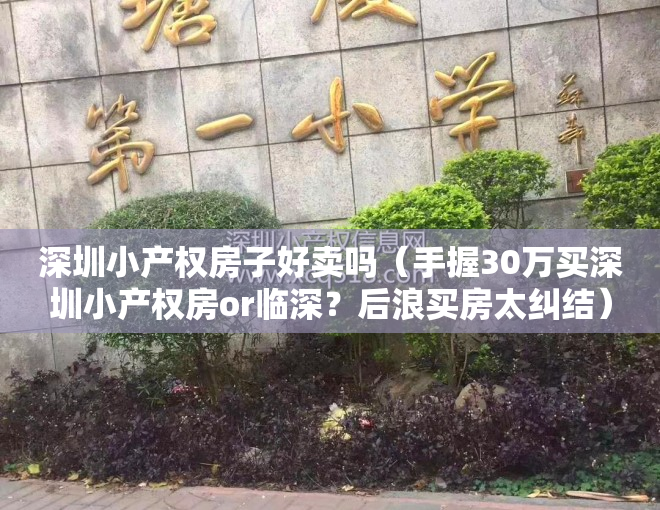 深圳小产权房子好卖吗（手握30万买深圳小产权房or临深？后浪买房太纠结）