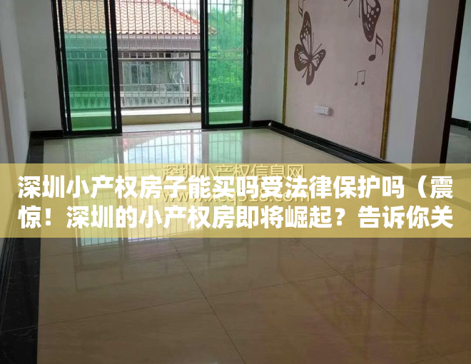 深圳小产权房子能买吗受法律保护吗（震惊！深圳的小产权房即将崛起？告诉你关于小产权房的论述！）
