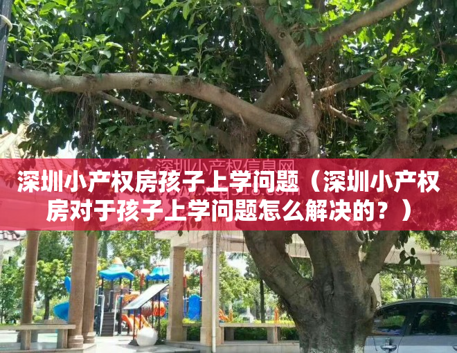 深圳小产权房孩子上学问题（深圳小产权房对于孩子上学问题怎么解决的？）