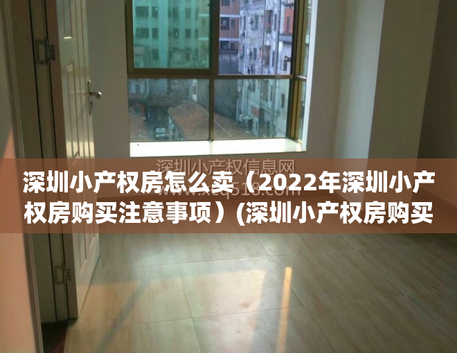 深圳小产权房怎么卖（2022年深圳小产权房购买注意事项）(深圳小产权房购买流程)