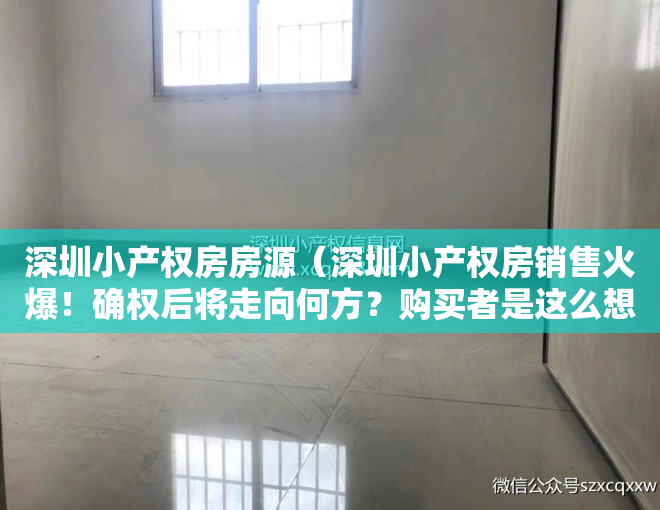 深圳小产权房房源（深圳小产权房销售火爆！确权后将走向何方？购买者是这么想的……）
