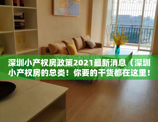 深圳小产权房政策2021最新消息（深圳小产权房的总类！你要的干货都在这里！）