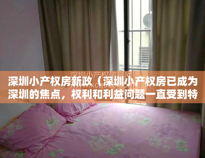 深圳小产权房新政（深圳小产权房已成为深圳的焦点，权利和利益问题一直受到特别关注）