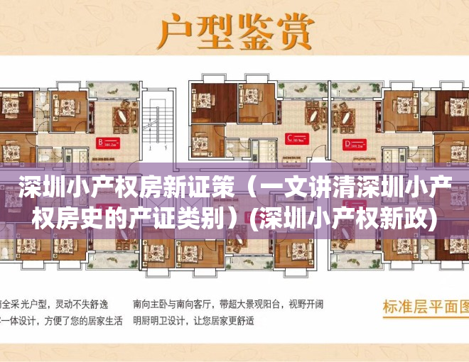 深圳小产权房新证策（一文讲清深圳小产权房史的产证类别）(深圳小产权新政)