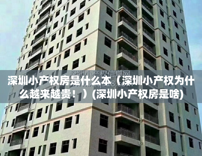 深圳小产权房是什么本（深圳小产权为什么越来越贵！）(深圳小产权房是啥)