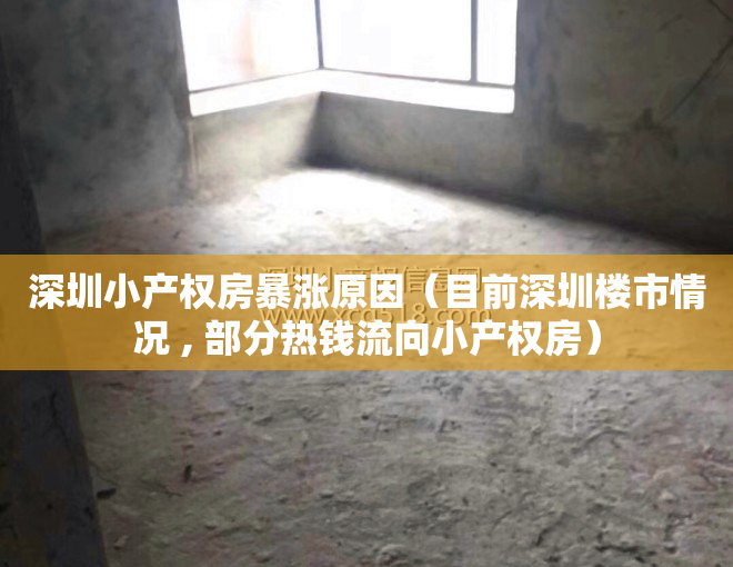 深圳小产权房暴涨原因（目前深圳楼市情况 , 部分热钱流向小产权房）