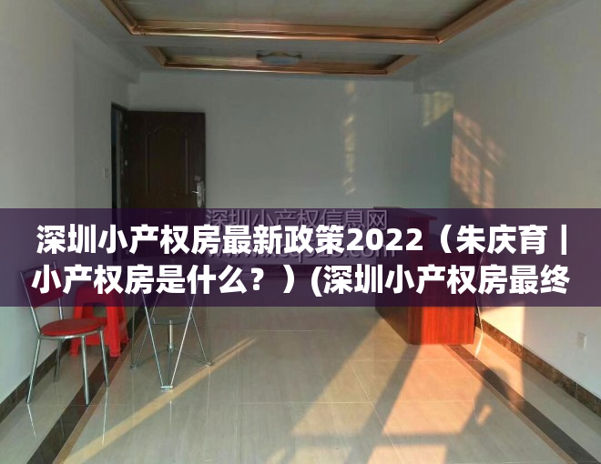 深圳小产权房最新政策2022（朱庆育｜小产权房是什么？）(深圳小产权房最终怎么处理)