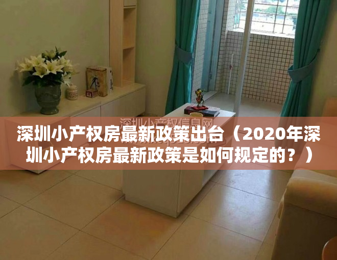 深圳小产权房最新政策出台（2020年深圳小产权房最新政策是如何规定的？）