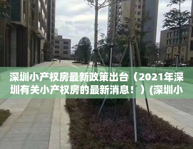 深圳小产权房最新政策出台（2021年深圳有关小产权房的最新消息！）(深圳小产权房最新政策2020)