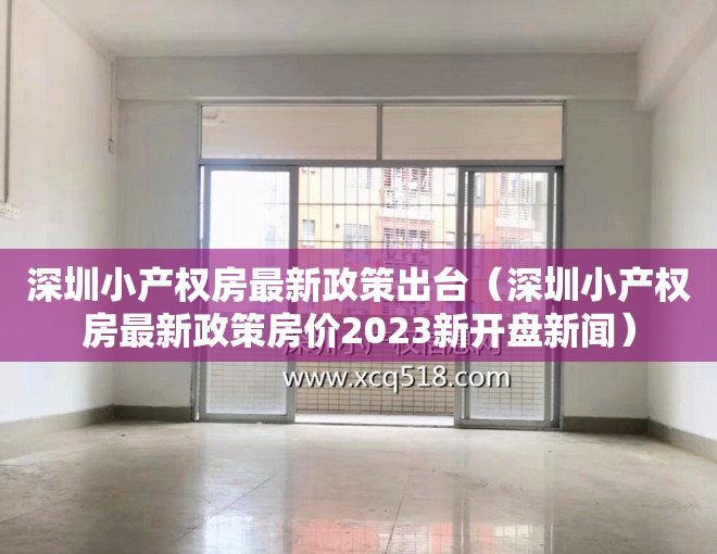 深圳小产权房最新政策出台（深圳小产权房最新政策房价2023新开盘新闻）