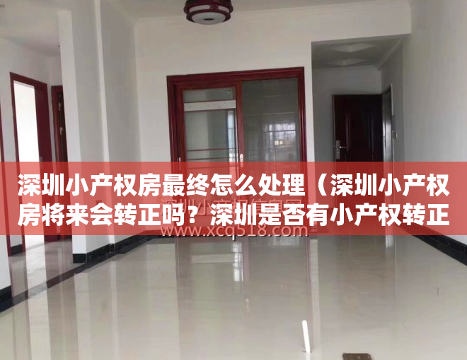 深圳小产权房最终怎么处理（深圳小产权房将来会转正吗？深圳是否有小产权转正的案例呢？）