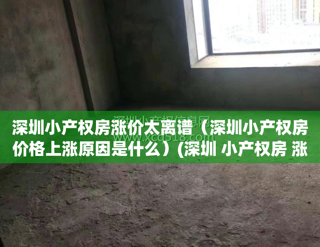 深圳小产权房涨价太离谱（深圳小产权房价格上涨原因是什么）(深圳 小产权房 涨价)