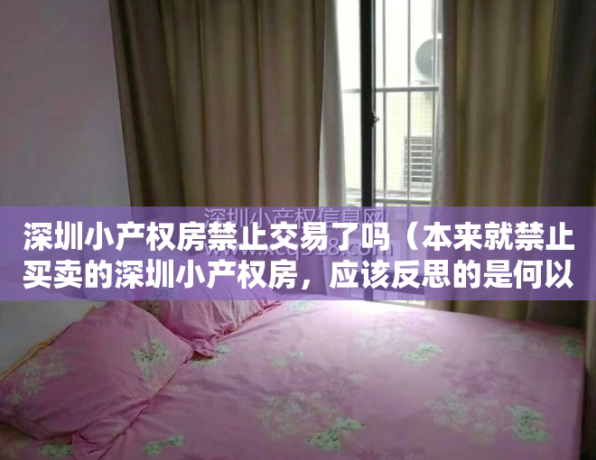 深圳小产权房禁止交易了吗（本来就禁止买卖的深圳小产权房，应该反思的是何以至此）