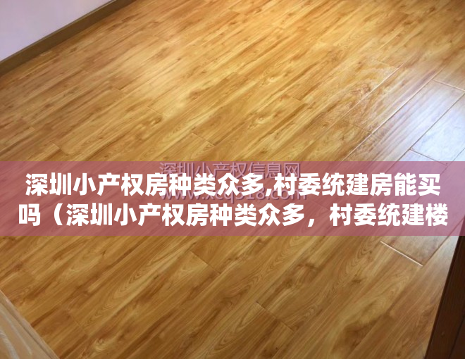 深圳小产权房种类众多,村委统建房能买吗（深圳小产权房种类众多，村委统建楼是否更有保障？）