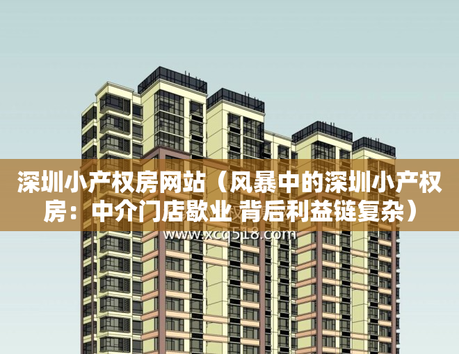 深圳小产权房网站（风暴中的深圳小产权房：中介门店歇业 背后利益链复杂）