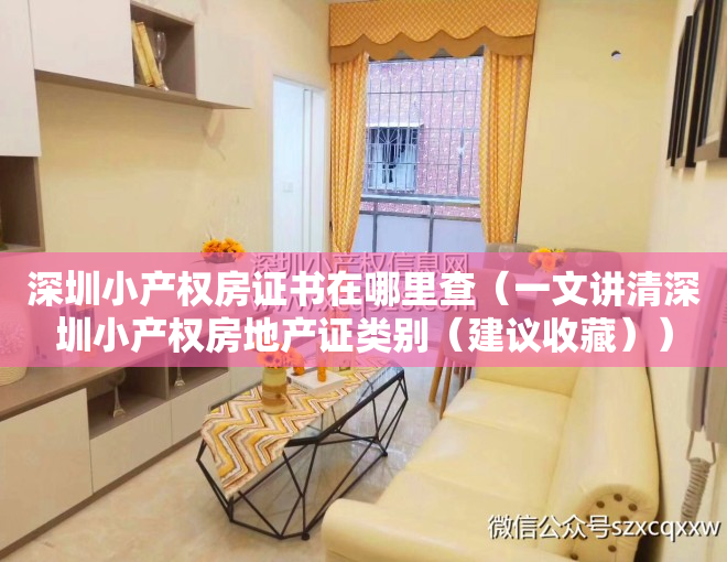 深圳小产权房证书在哪里查（一文讲清深圳小产权房地产证类别（建议收藏））