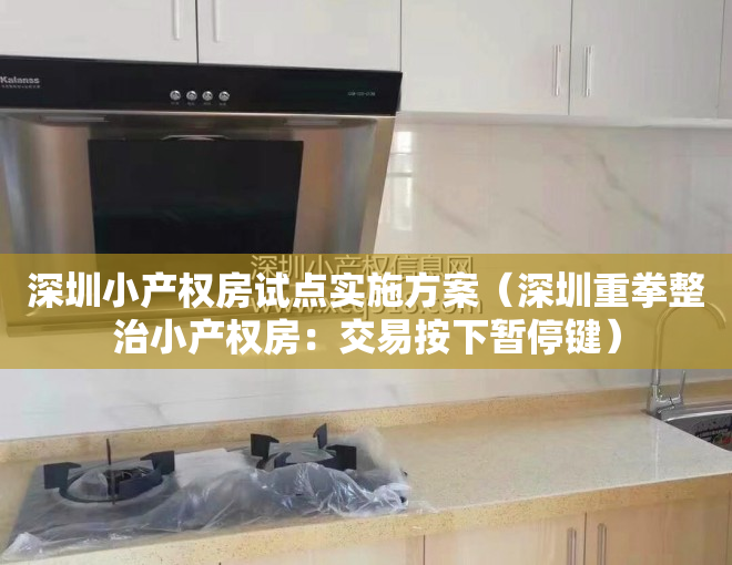 深圳小产权房试点实施方案（深圳重拳整治小产权房：交易按下暂停键）