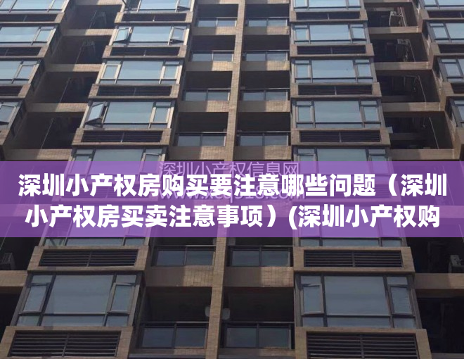 深圳小产权房购买要注意哪些问题（深圳小产权房买卖注意事项）(深圳小产权购买条件)