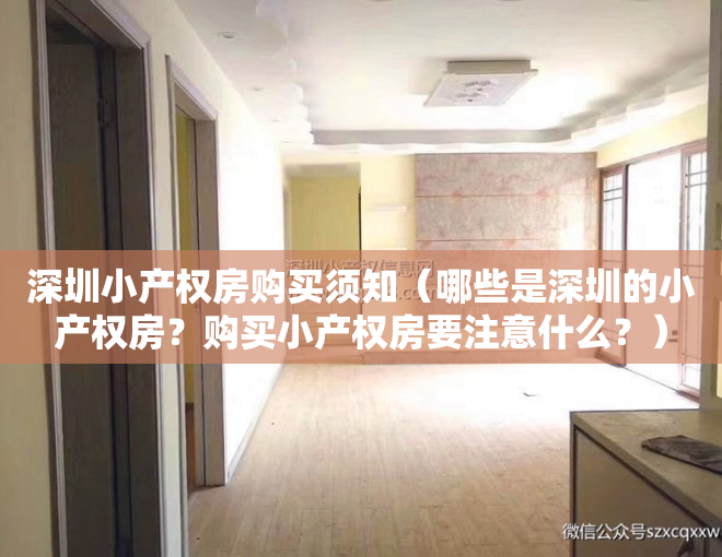 深圳小产权房购买须知（哪些是深圳的小产权房？购买小产权房要注意什么？）