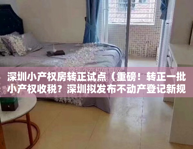 深圳小产权房转正试点（重磅！转正一批小产权收税？深圳拟发布不动产登记新规）