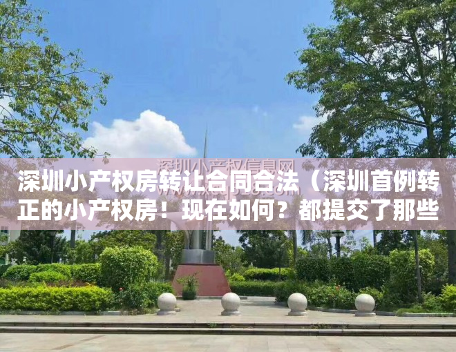深圳小产权房转让合同合法（深圳首例转正的小产权房！现在如何？都提交了那些手续？）