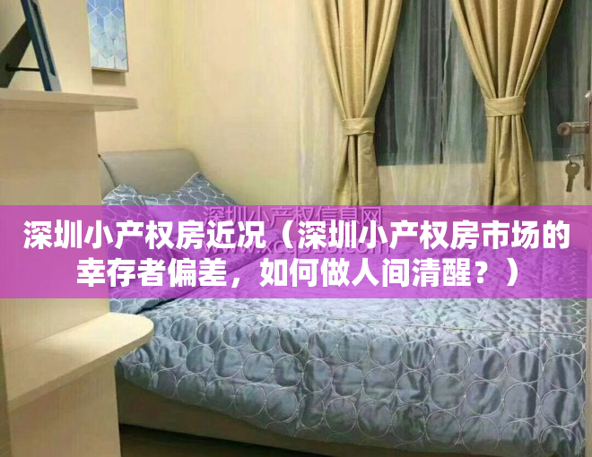 深圳小产权房近况（深圳小产权房市场的幸存者偏差，如何做人间清醒？）