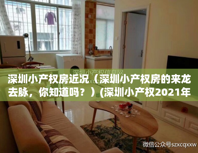 深圳小产权房近况（深圳小产权房的来龙去脉，你知道吗？）(深圳小产权2021年火了)