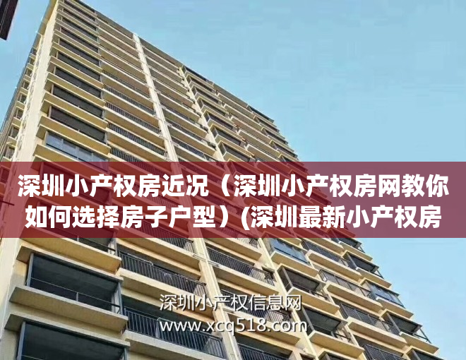 深圳小产权房近况（深圳小产权房网教你如何选择房子户型）(深圳最新小产权房房源)