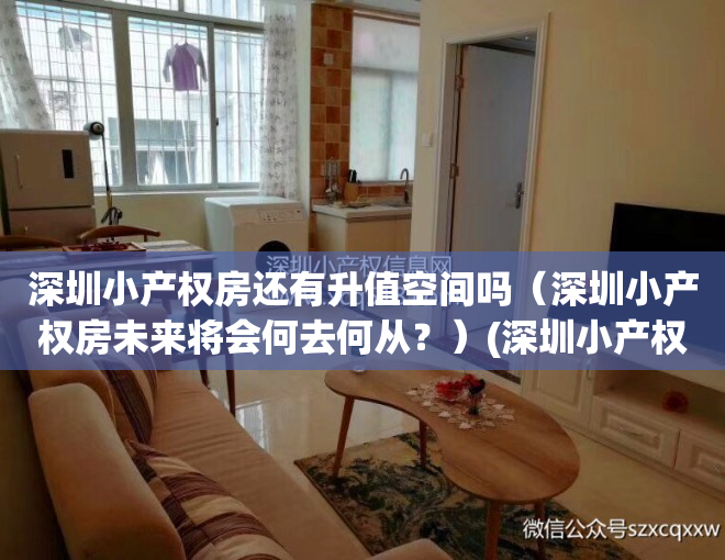 深圳小产权房还有升值空间吗（深圳小产权房未来将会何去何从？）(深圳小产权房的未来)