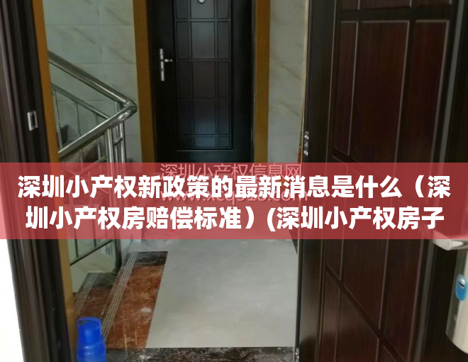 深圳小产权新政策的最新消息是什么（深圳小产权房赔偿标准）(深圳小产权房子最新政策2021)