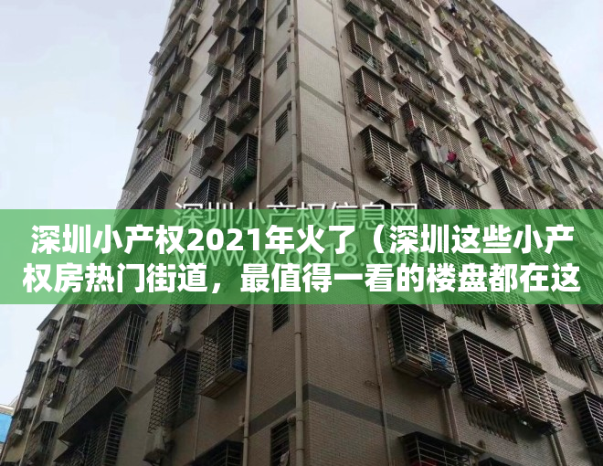 深圳小产权2021年火了（深圳这些小产权房热门街道，最值得一看的楼盘都在这里！）