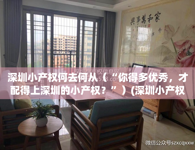 深圳小产权何去何从（“你得多优秀，才配得上深圳的小产权？”）(深圳小产权可靠吗)