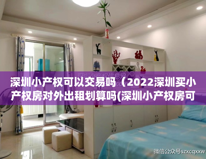 深圳小产权可以交易吗（2022深圳买小产权房对外出租划算吗(深圳小产权房可以出租吗)）