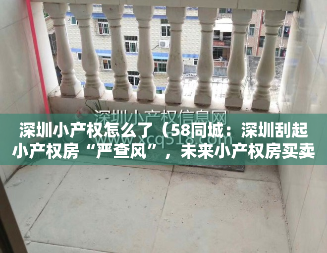 深圳小产权怎么了（58同城：深圳刮起小产权房“严查风”，未来小产权房买卖向左还是向右？）