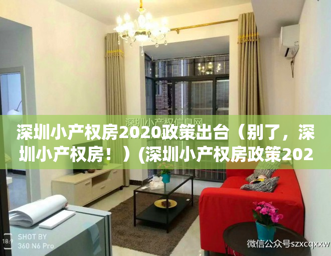 深圳小产权房2020政策出台（别了，深圳小产权房！）(深圳小产权房政策2021)