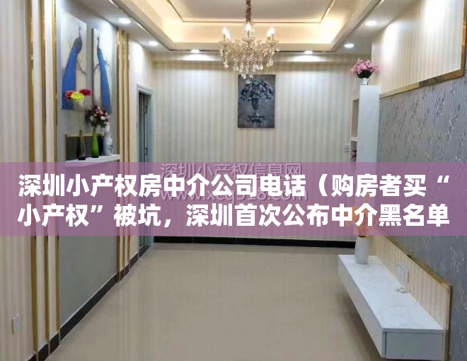 深圳小产权房中介公司电话（购房者买“小产权”被坑，深圳首次公布中介黑名单）