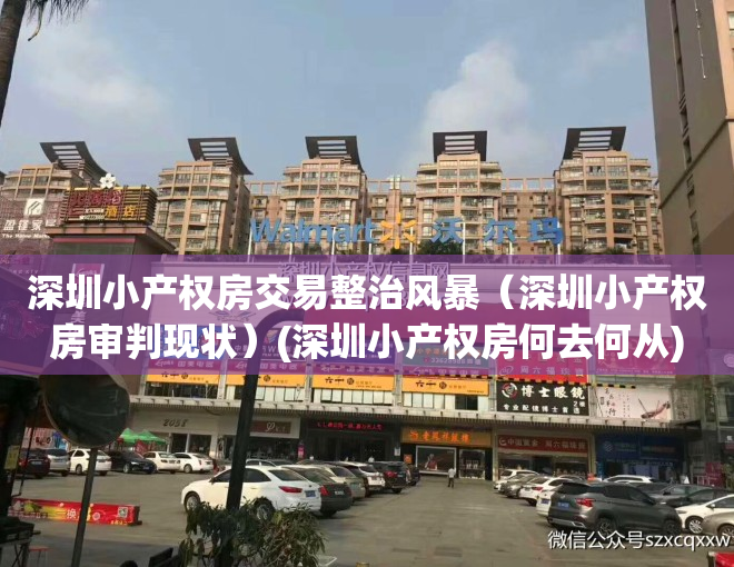 深圳小产权房交易整治风暴（深圳小产权房审判现状）(深圳小产权房何去何从)