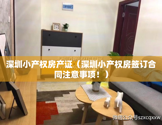 深圳小产权房产证（深圳小产权房签订合同注意事项！）